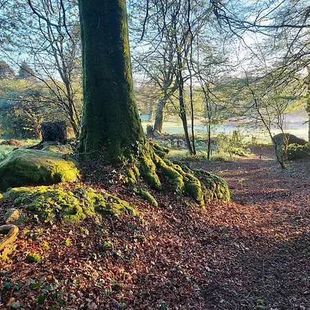 'glamping' Tents One Of Three To Rent Fully Equipped Private Equipped Kitchen Tents Too خيمة فخمة *