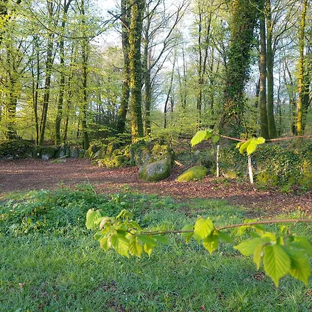 'glamping' Tents One Of Three To Rent Fully Equipped Private Equipped Kitchen Tents Too خيمة فخمة Saint-Michel-de-Montjoie