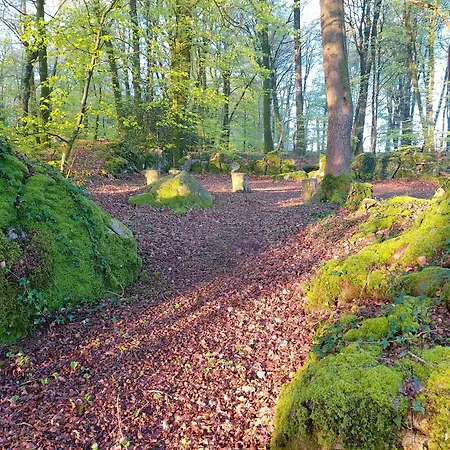 'glamping' Tents One Of Three To Rent Fully Equipped Private Equipped Kitchen Tents Too خيمة فخمة Saint-Michel-de-Montjoie