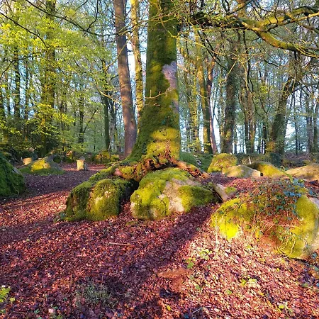 'glamping' Tents One Of Three To Rent Fully Equipped Private Equipped Kitchen Tents Too Saint-Michel-de-Montjoie