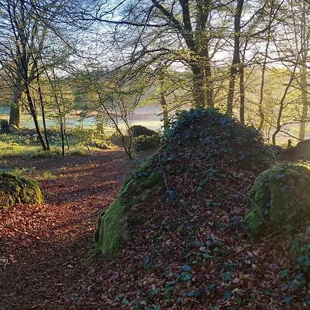 'glamping' Tents One Of Three To Rent Fully Equipped Private Equipped Kitchen Tents Too Saint-Michel-de-Montjoie