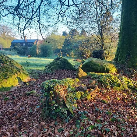 'glamping' Tents One Of Three To Rent Fully Equipped Private Equipped Kitchen Tents Too
