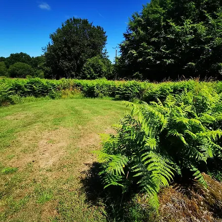 خيمة فخمة 'glamping' Tents One Of Three To Rent Fully Equipped Private Equipped Kitchen Tents Too