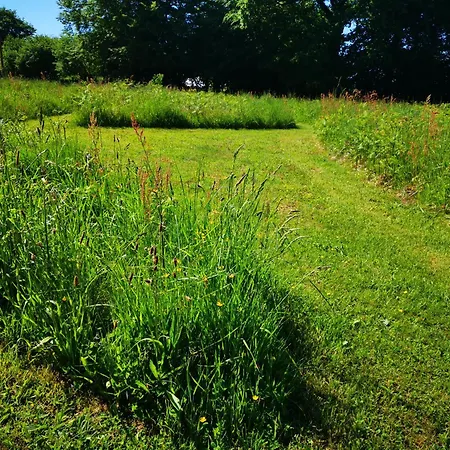 'glamping' Tents One Of Three To Rent Fully Equipped Private Equipped Kitchen Tents Too Saint-Michel-de-Montjoie