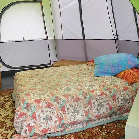 Fernfields Countryside Tents ラグジュアリーテント