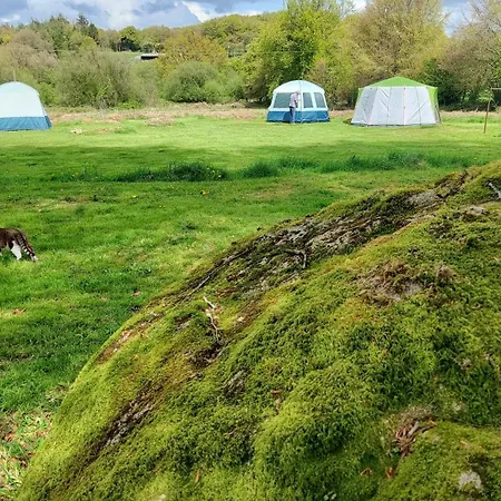 Fernfields Countryside Tents ラグジュアリーテント