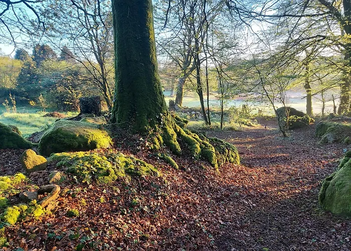 'glamping' Tents One Of Three To Rent Fully Equipped Private Equipped Kitchen Tents Too אוהל מפואר *