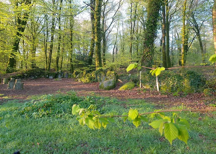 'glamping' Tents One Of Three To Rent Fully Equipped Private Equipped Kitchen Tents Too אוהל מפואר Saint-Michel-de-Montjoie