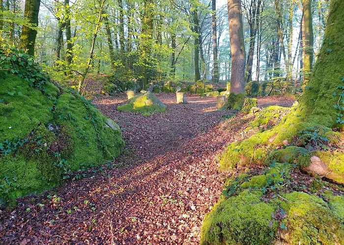 'glamping' Tents One Of Three To Rent Fully Equipped Private Equipped Kitchen Tents Too אוהל מפואר Saint-Michel-de-Montjoie