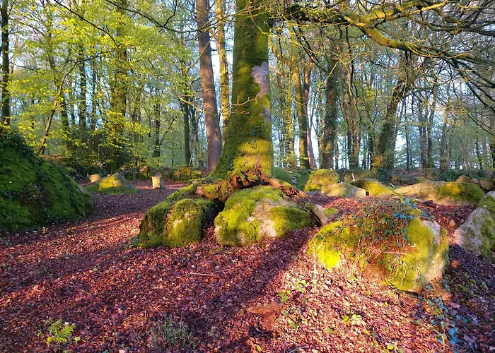 'glamping' Tents One Of Three To Rent Fully Equipped Private Equipped Kitchen Tents Too Saint-Michel-de-Montjoie