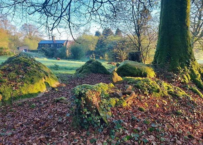 'glamping' Tents One Of Three To Rent Fully Equipped Private Equipped Kitchen Tents Too