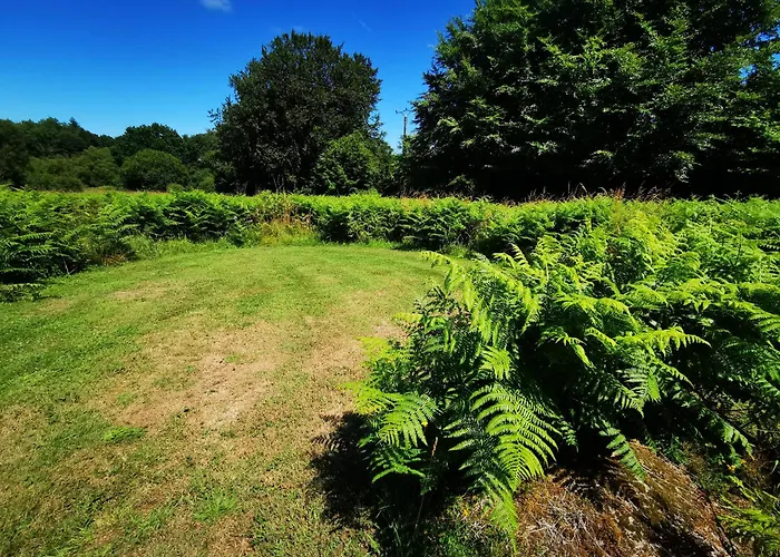 אוהל מפואר 'glamping' Tents One Of Three To Rent Fully Equipped Private Equipped Kitchen Tents Too