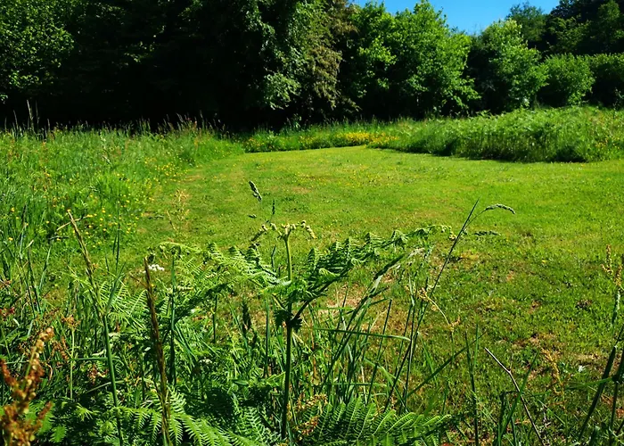 'glamping' Tents One Of Three To Rent Fully Equipped Private Equipped Kitchen Tents Too אוהל מפואר Saint-Michel-de-Montjoie