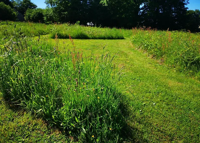 'glamping' Tents One Of Three To Rent Fully Equipped Private Equipped Kitchen Tents Too Saint-Michel-de-Montjoie