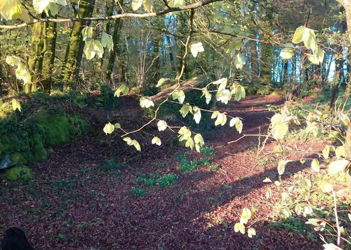 'glamping' Tents One Of Three To Rent Fully Equipped Private Equipped Kitchen Tents Too * Saint-Michel-de-Montjoie